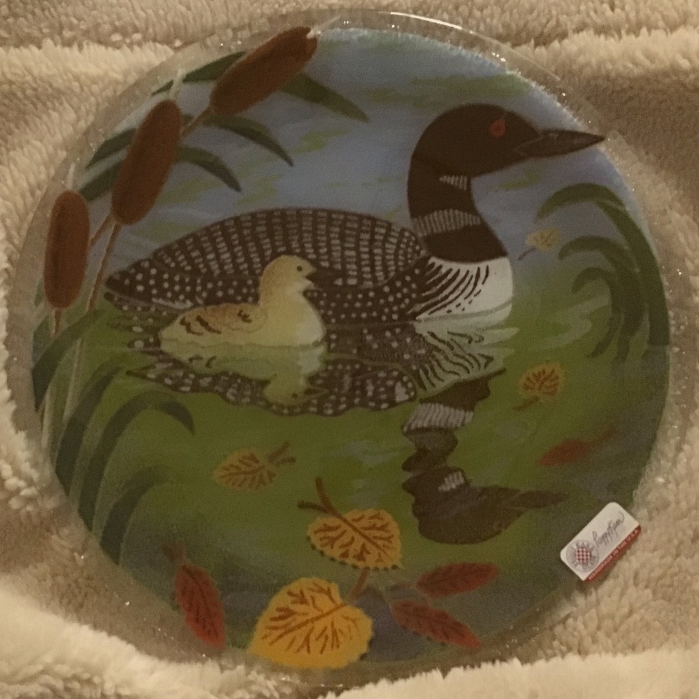 Host Pick Vintage RARE Signed Peggy Karr Glass Loon Plate